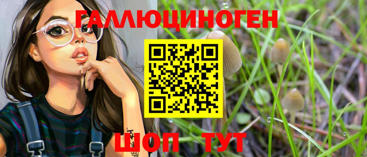 Унеча  Галлюциногенные грибы Psilocybe  Галлюциногенные грибы Psilocybe  купить наркоту  Вход с VPN 